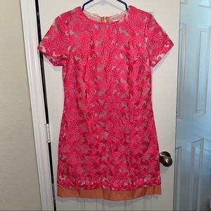 Sail to Sable Pink Poly Organza Cotton Candy Dress